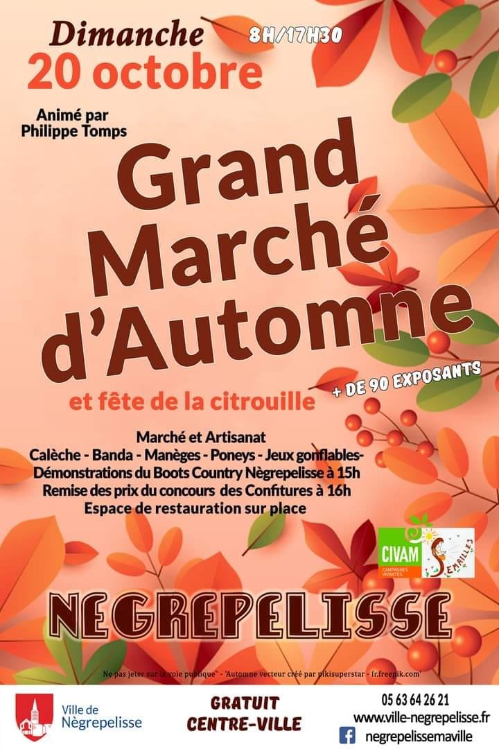 Grand Marché d'Automne et Fête de la Citrouille - 20 octobre à Nègrepelisse