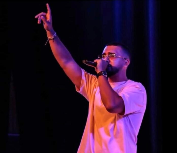 Un artiste en plein concert, micro à la main, avec un éclairage violet.