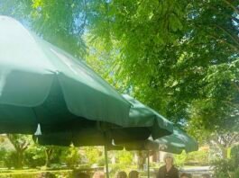 Rosa Bonheur offre un moment de répit à des femmes accompagnées par le Planning Familial : un repas solidaire à La Maison de Rose de Moissac, jeudi 21 mai repas solidaire Rosa Bonheur Planning Familial Tarn-et-Garonne La Maison de Rose Moissac mai 2026 femmes répit reconstruction