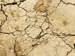 sol argileux craquelé sécheresse Tarn-et-Garonne canicule juillet 2026 restrictions eau