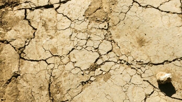 sol argileux craquelé sécheresse Tarn-et-Garonne canicule juillet 2026 restrictions eau