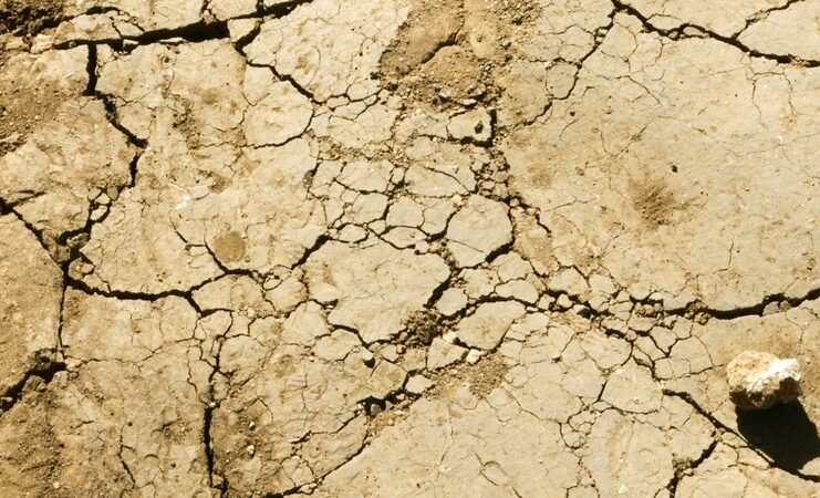 sol argileux craquelé sécheresse Tarn-et-Garonne canicule juillet 2026 restrictions eau