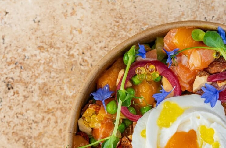 Nectar Bowl d'Olla Montauban, saumon mariné, abricot et fleur de burrata