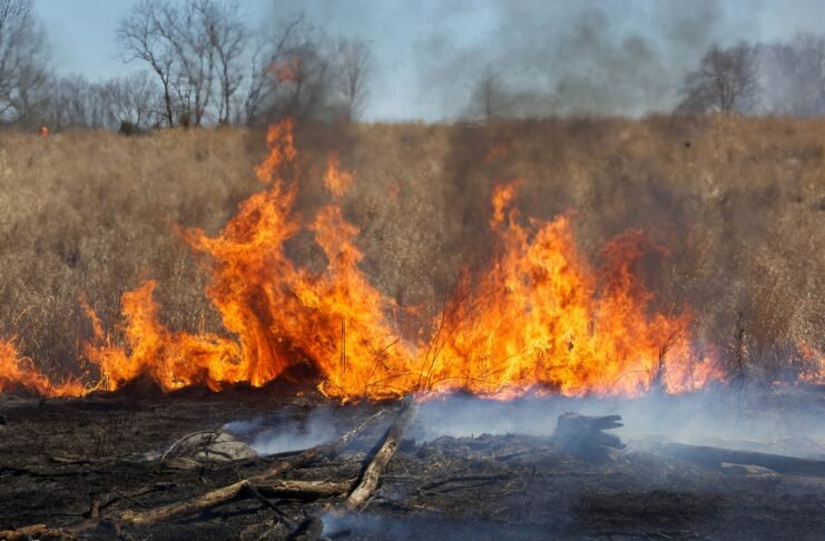 incendie végétation broussailles flammes feu Tarn-et-Garonne canicule sécheresse juillet 2026